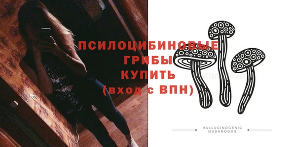 прущие грибы Богородицк