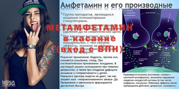 прущие грибы Богородицк