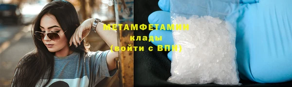 прущие грибы Богородицк