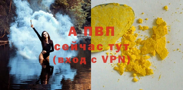 прущие грибы Богородицк